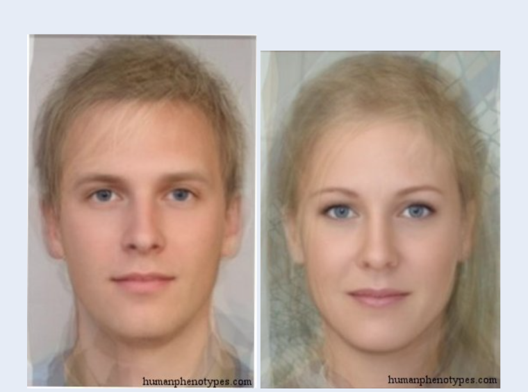 Северный альпинид фенотип