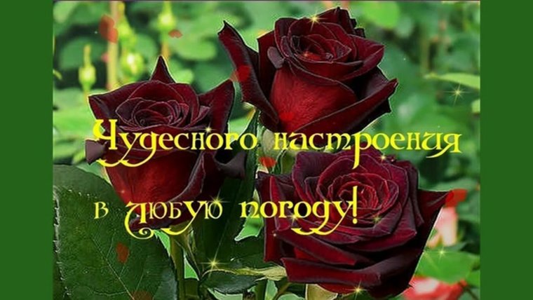 Хорошего настроения в любою погоду