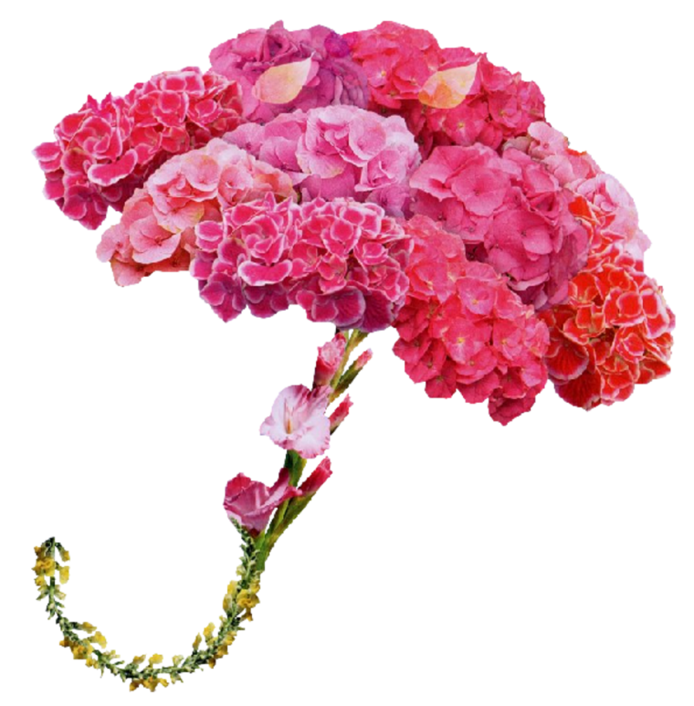 Открытка зонтик из цветов