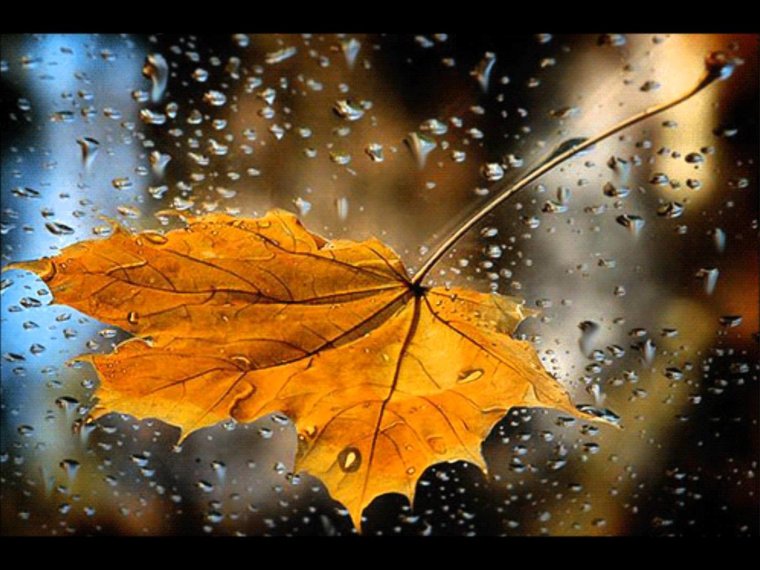 Хорошего настроения в любую погоду осень