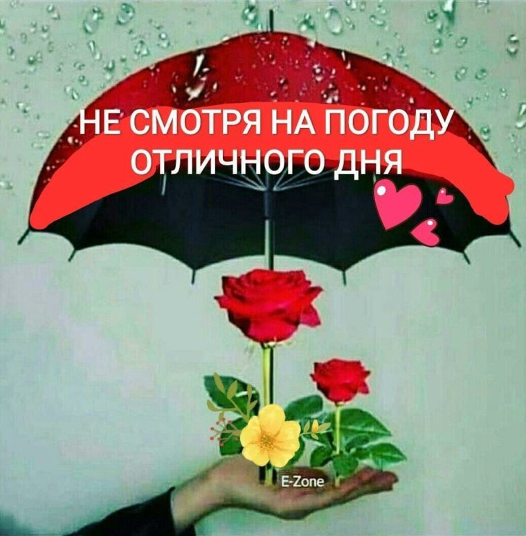 Зонтик с пожеланиями