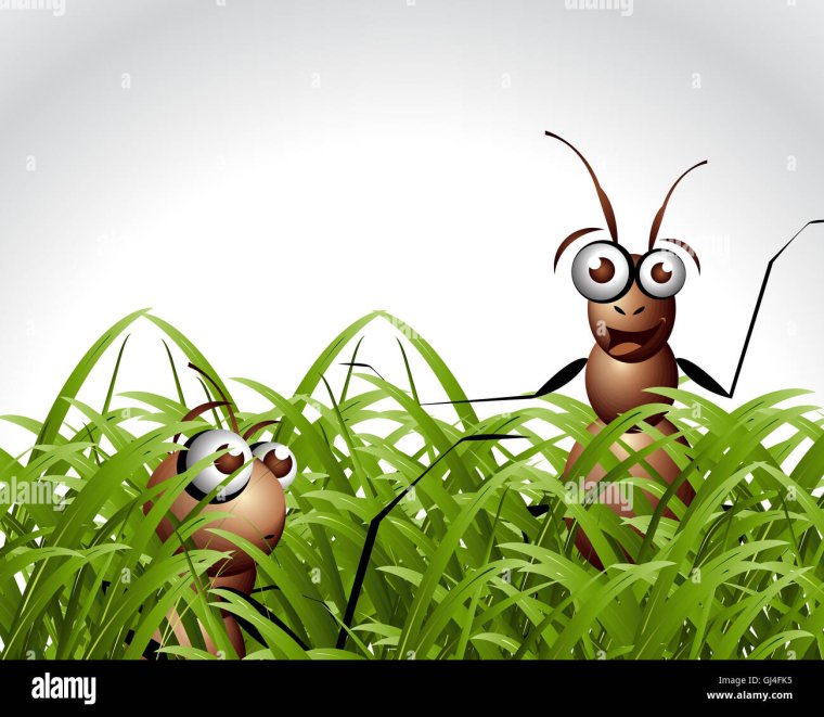 Гроза муравьев / the Ant Bully (2006)