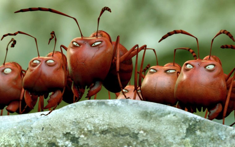 Приключения Флика