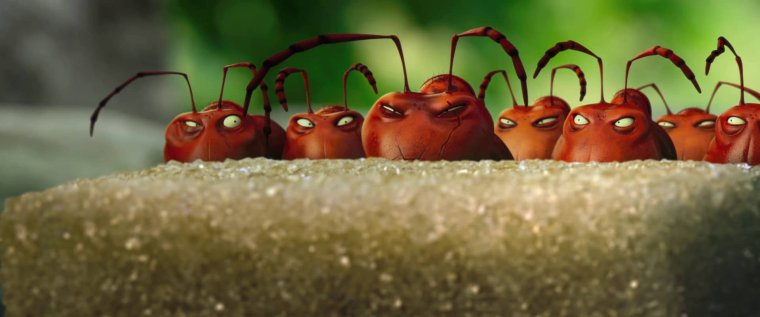 Гроза муравьев Лукас