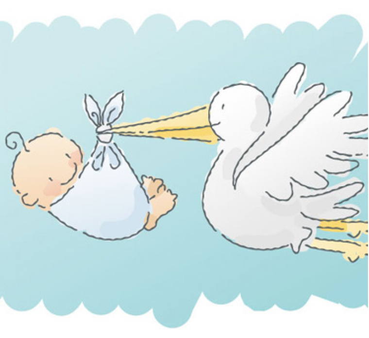 Рождение малыша Аист