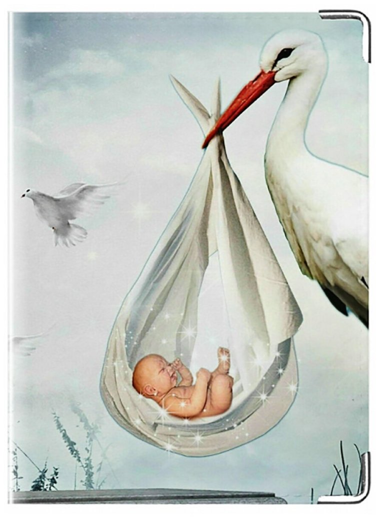 Аист картинка для детей