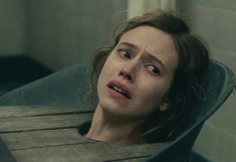 Лу де Лааж фильмография