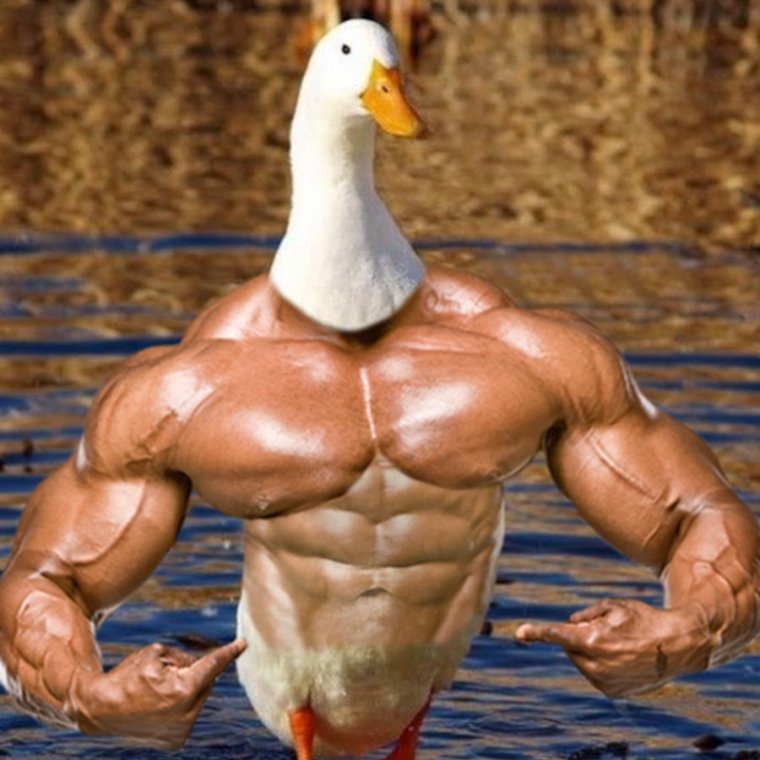 Авы для спортсменов