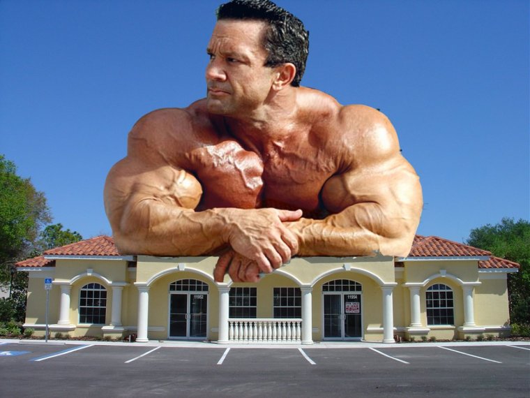 Мужской торс