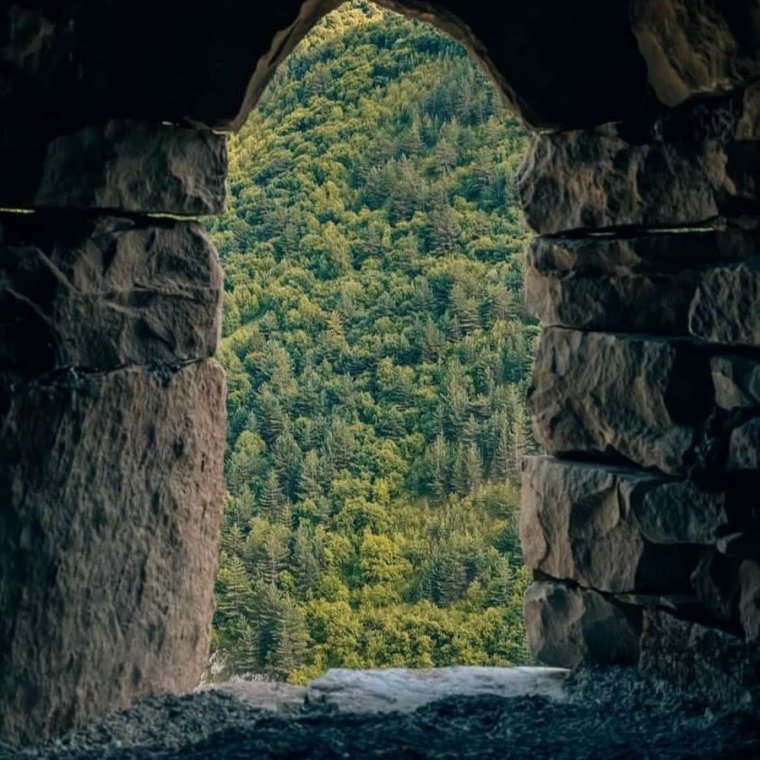 Горцы Кавказа 19 века