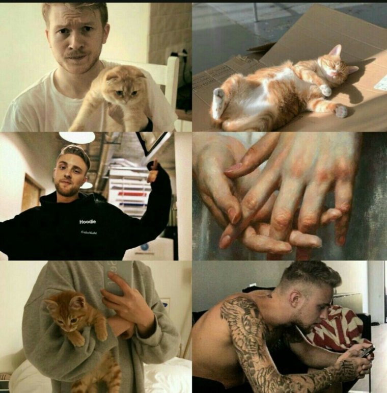 Белла Торн и Крид