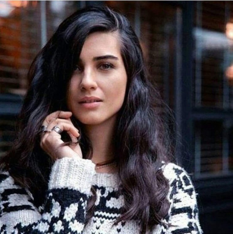 Арзимисан Мехримга