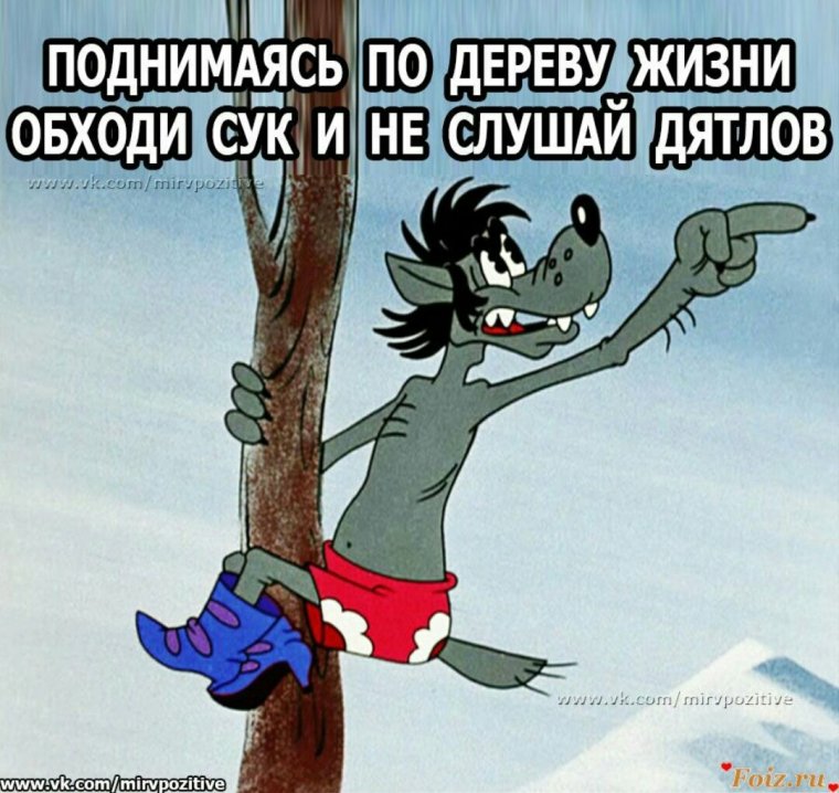 Ну погоди приколы