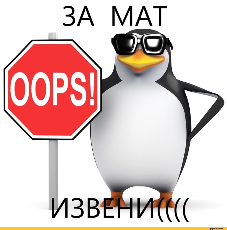 Даша-путешественница приколы