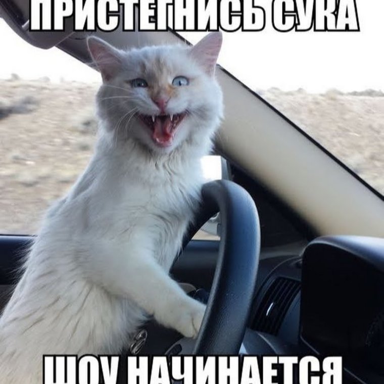 Приколы из мультиков