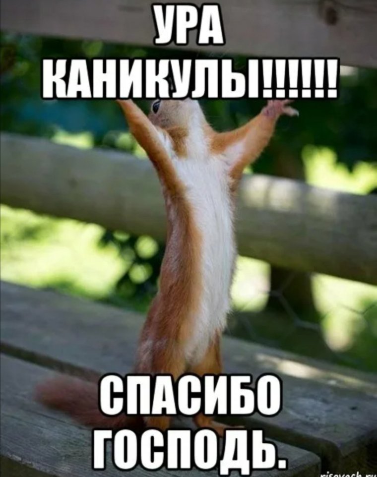 Школьные каникулы картинки