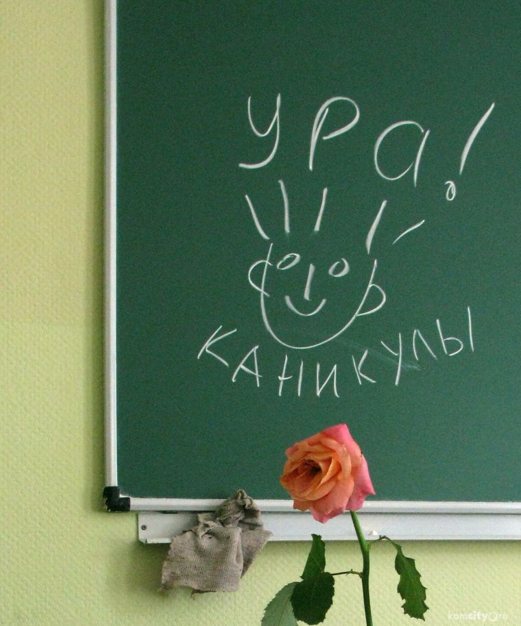 Родители и дети карикатура