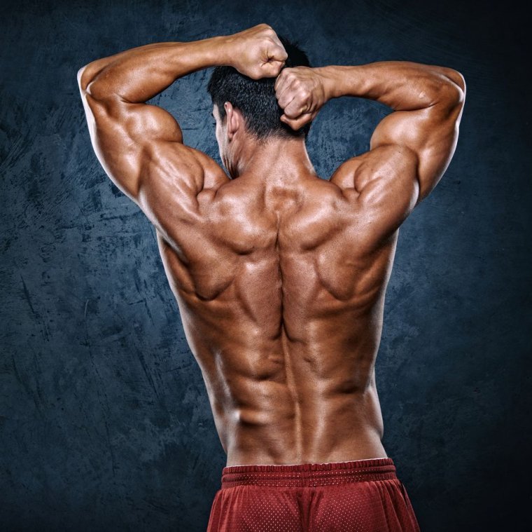 Бодибилдинг спина