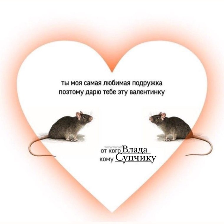 Валентинки на 14 февраля смешные