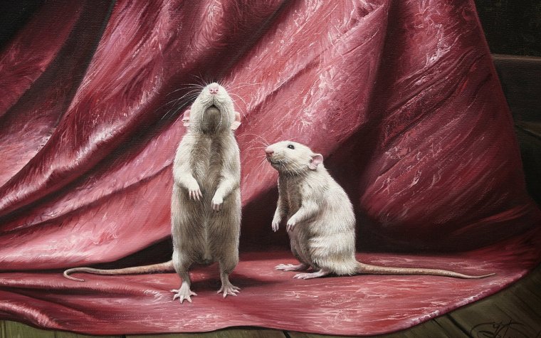 Обои с крысами