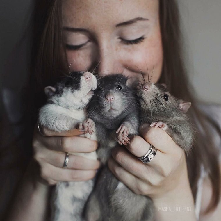 Девушка крыса