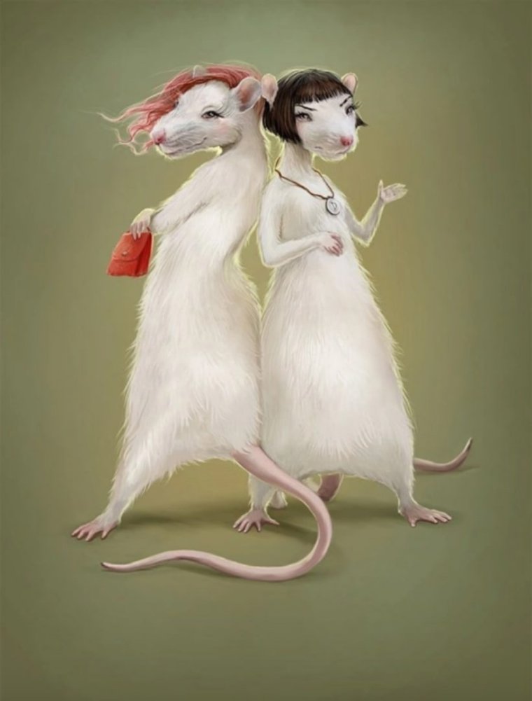 Крысы подружки