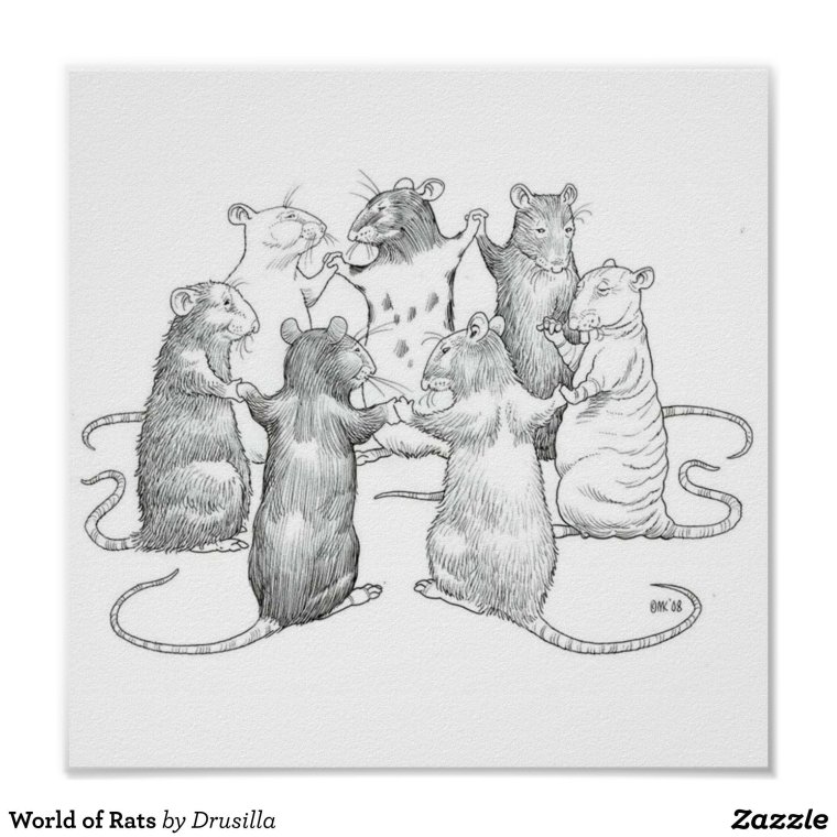 Крысы хоровод