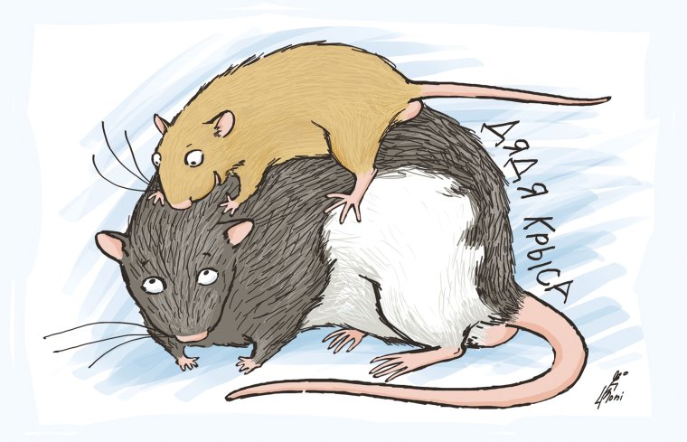 Крысиные отношения