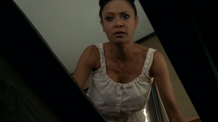 Тэнди Ньютон Westworld