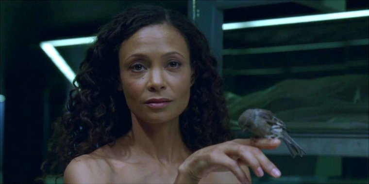 Thandie Newton мир дикого Запада