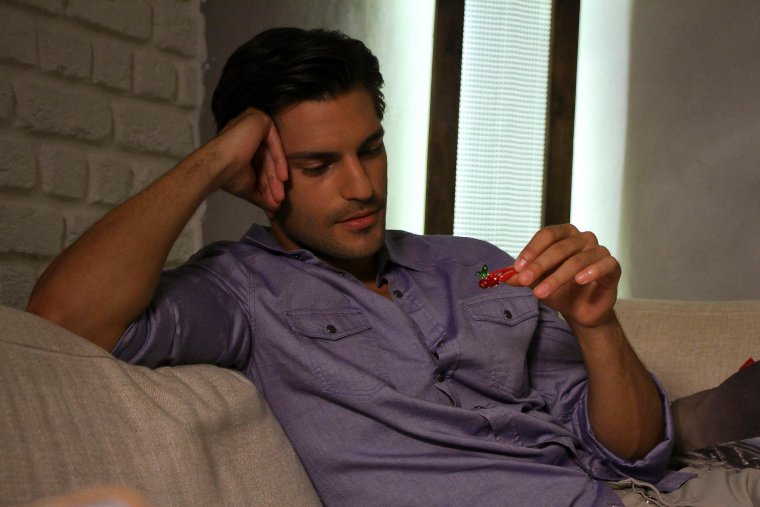 Серкан вишневый сезон