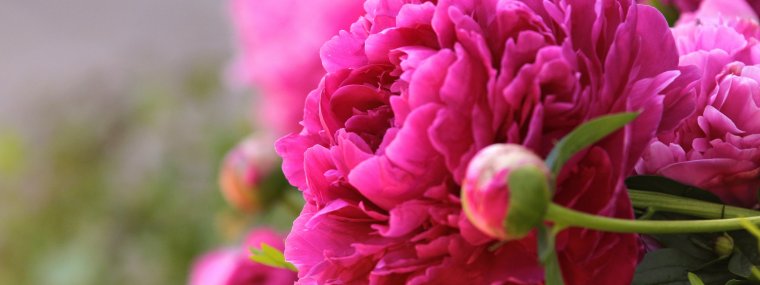 Красивые пожелания с добрым утром по татарски