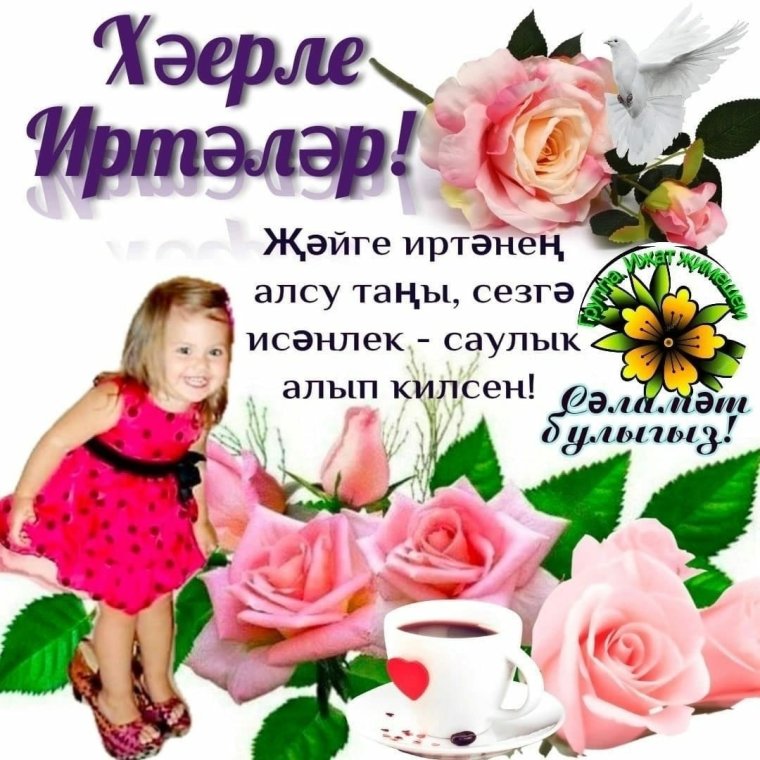 "Хэерле иртэ, Татарстан!" Ведущий Айдар Халиуллин