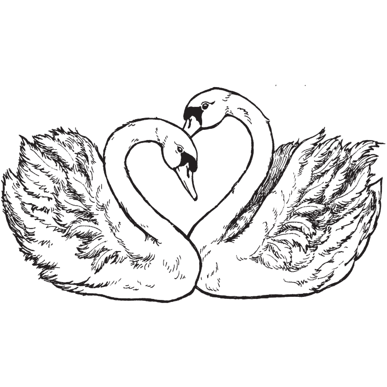 Свадьба рисунок смешной