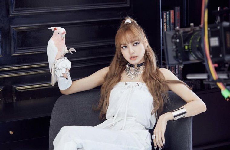 Группа BLACKPINK лиса