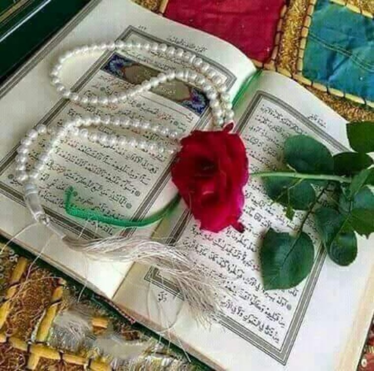 Я Раббым картинки