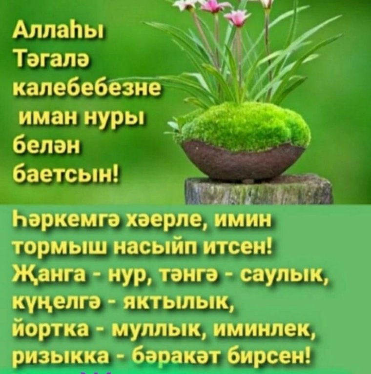 Статус с пожеланиями Изге Йома