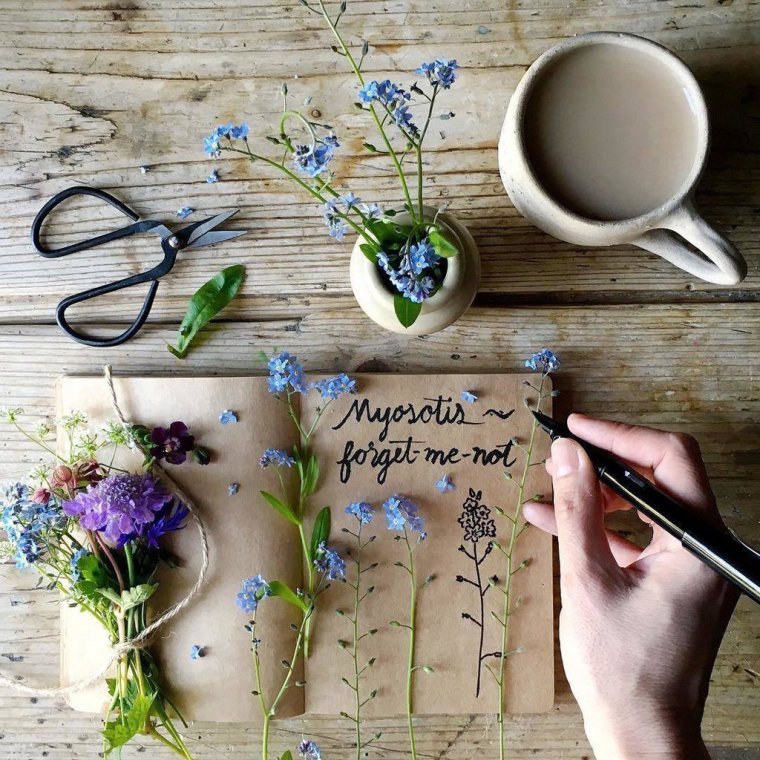 Идея для вдохновения растения