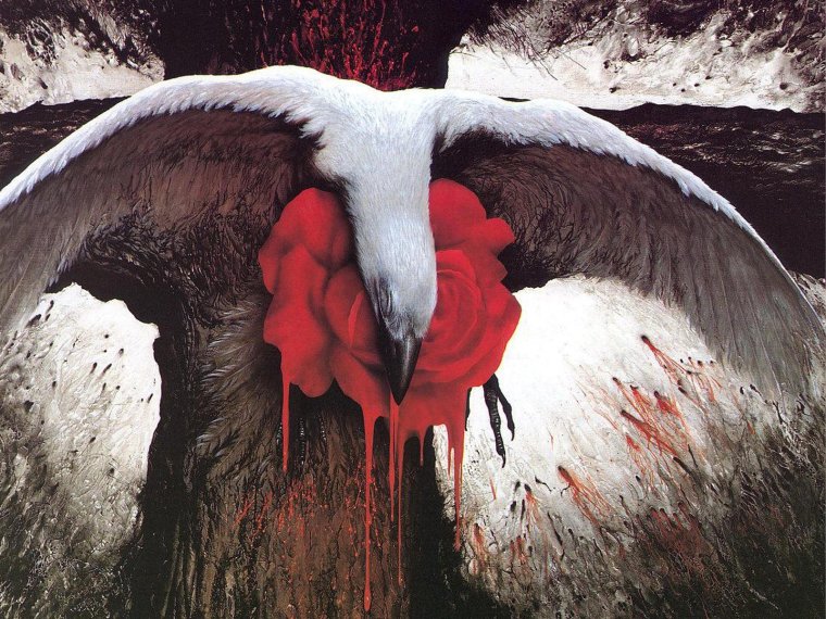 Кровавый ястреб ДНД