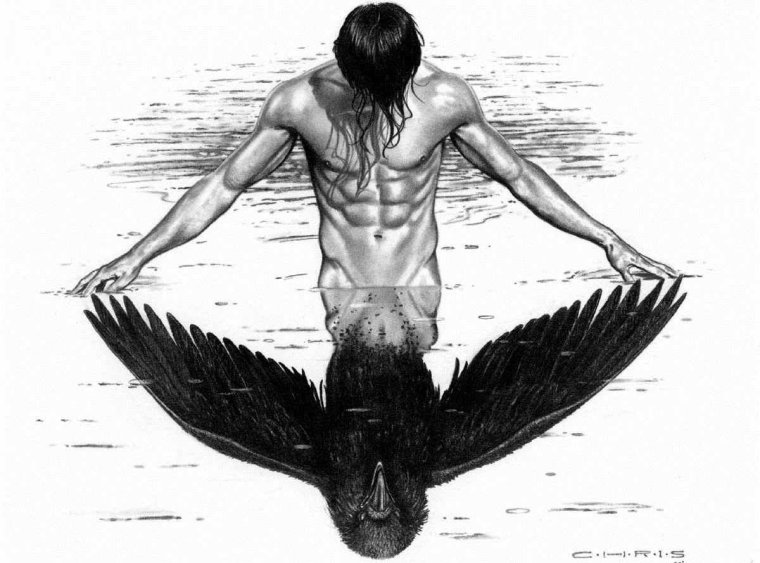 Ворон во тьме