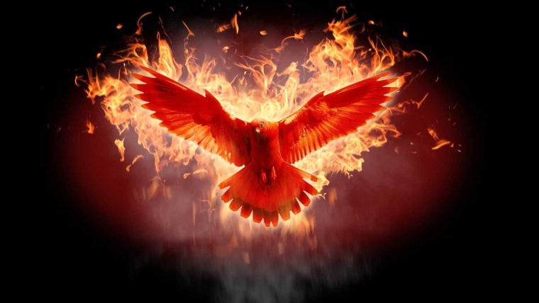 Белый Орел в полете