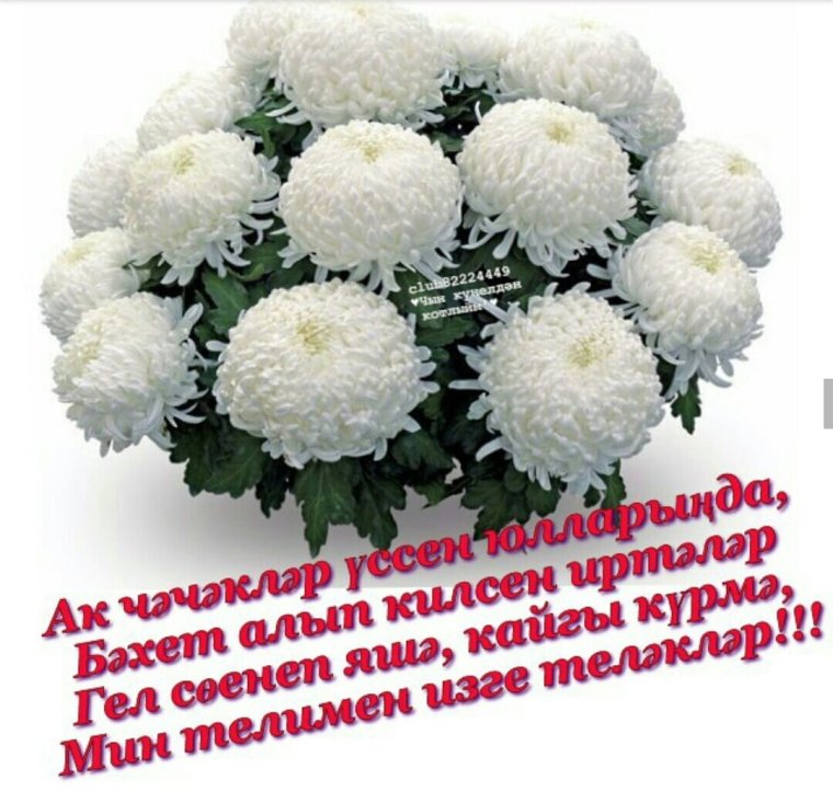 Туган конен белэн открытка надпись