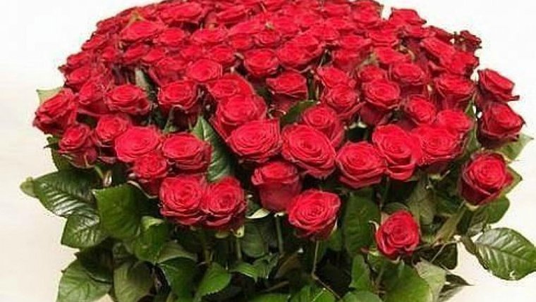 Счастья радости здоровья