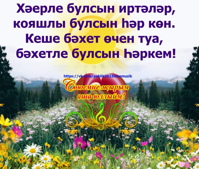 Бэхет телим картина