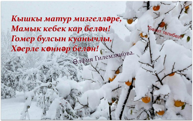 Кышкы картинки