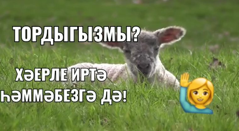 Хэерле иртэ открытки на татарском зимние