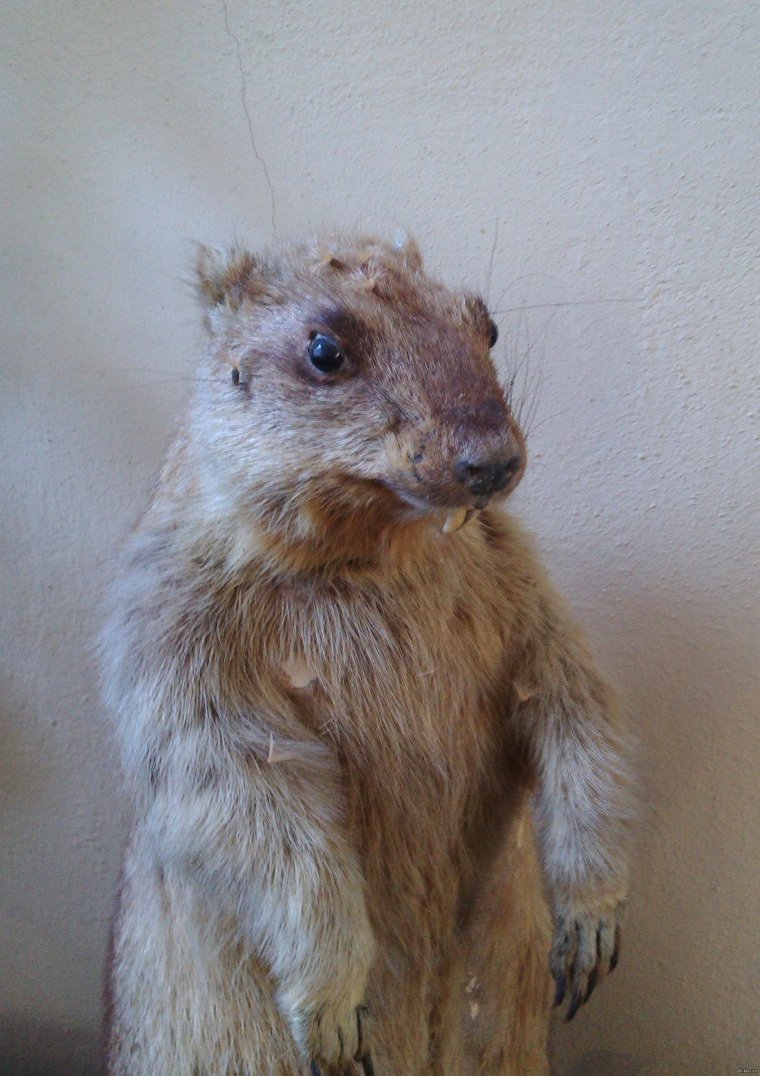 Как прошли ваши выходные