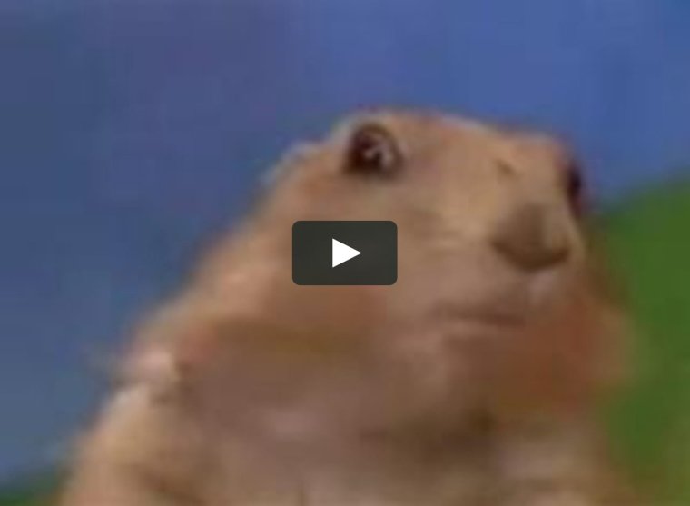 ЭПИЧНЫЙ суслик