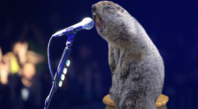 Боевой суслик