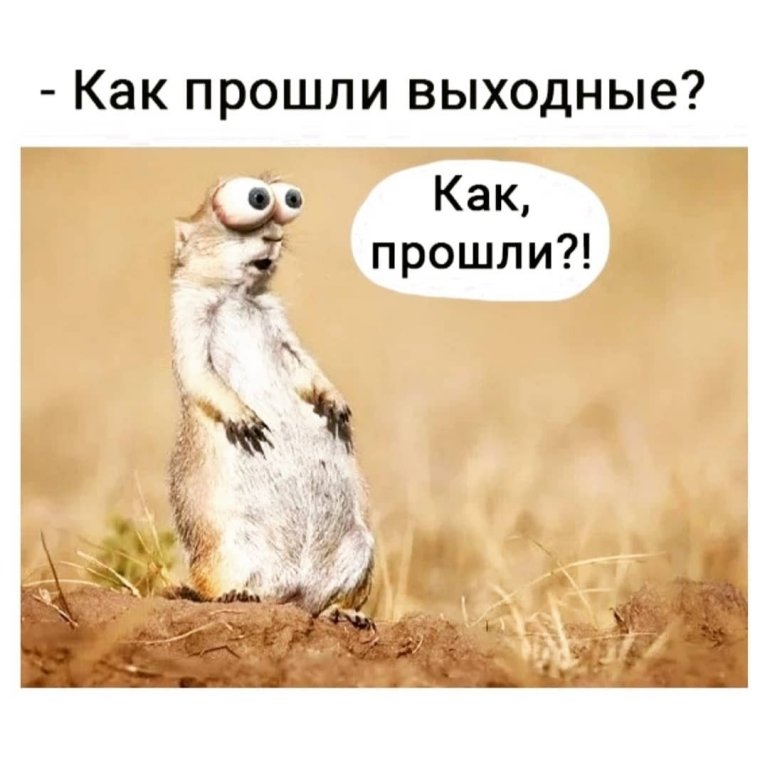 Бобер с сигаретой